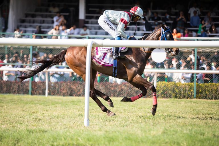 Where Best Horse Racing Apps Review 2026: Bonus, App, Withdrawal Tested